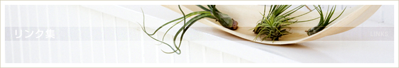 �����N�W